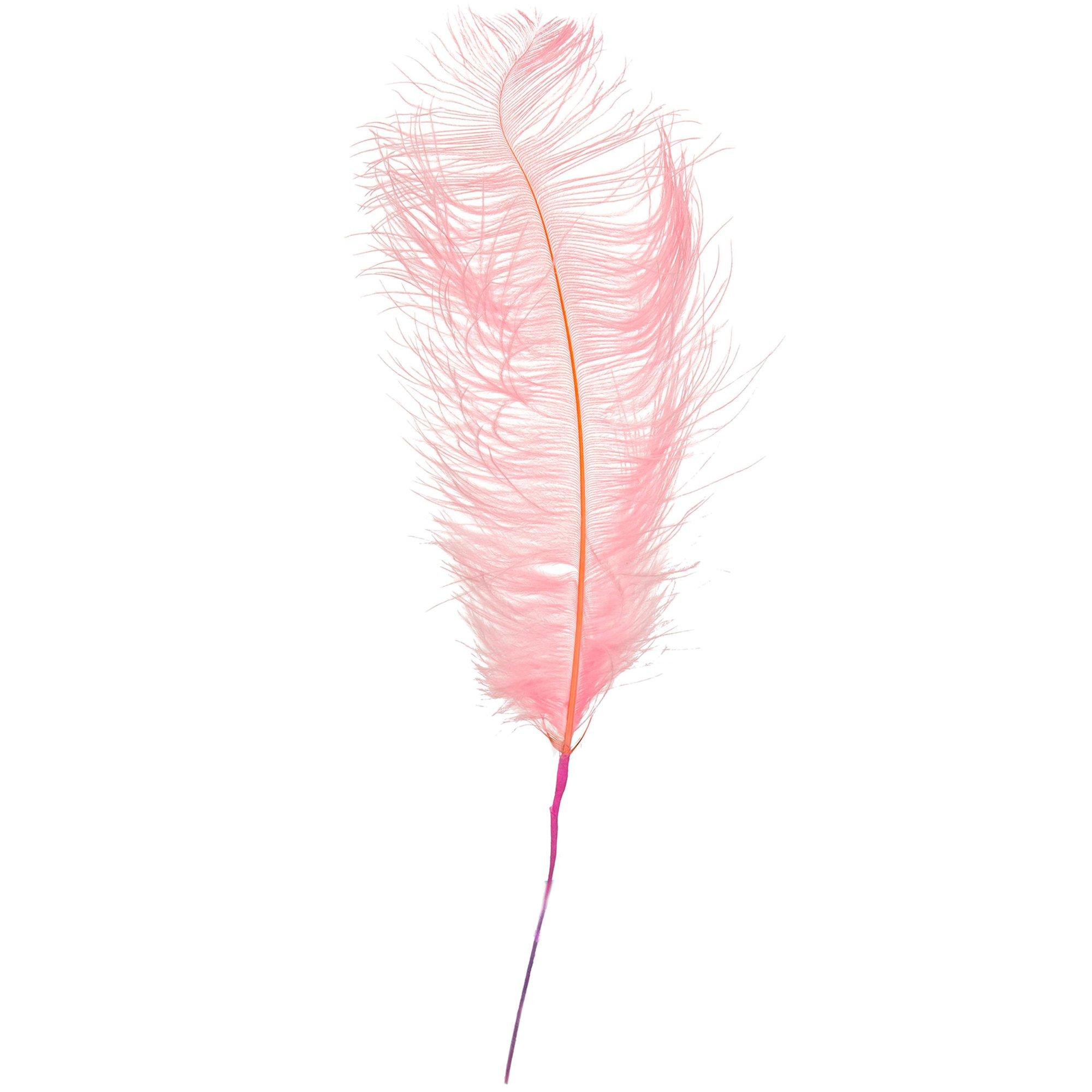 Dyed Ostrich Feather Pick